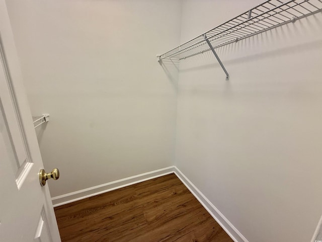 4273 Santolina Way Unit E, Murrells Inlet, SC 29576 - walk in closet with dark wood finished floors