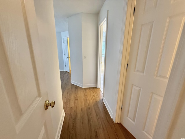 4273 Santolina Way Unit E, Murrells Inlet, SC 29576 - corridor with wood finished floors and baseboards