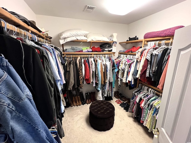 spacious closet featuring carpet flooring