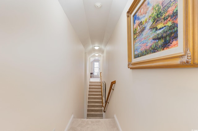 staircase with carpet floors