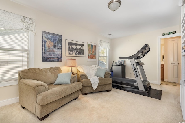 exercise area featuring carpet floors