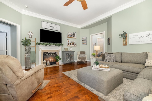 living room featuring ceiling fan, dark wood-type flooring, and crown molding