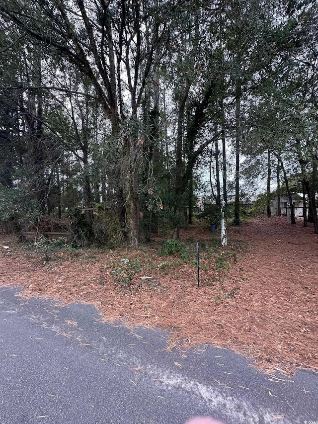 TBD Hunter Ave, North Myrtle Beach SC, 29582 land for sale