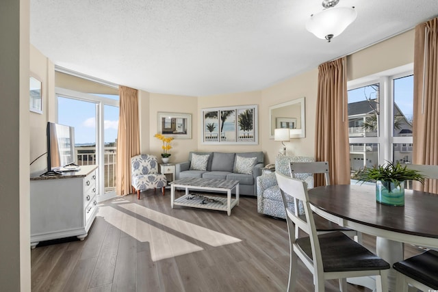 living room featuring wood-type flooring, a textured ceiling, and a wealth of natural light