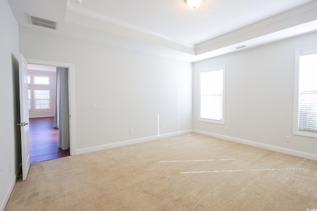 empty room featuring ornamental molding, a tray ceiling, and a wealth of natural light