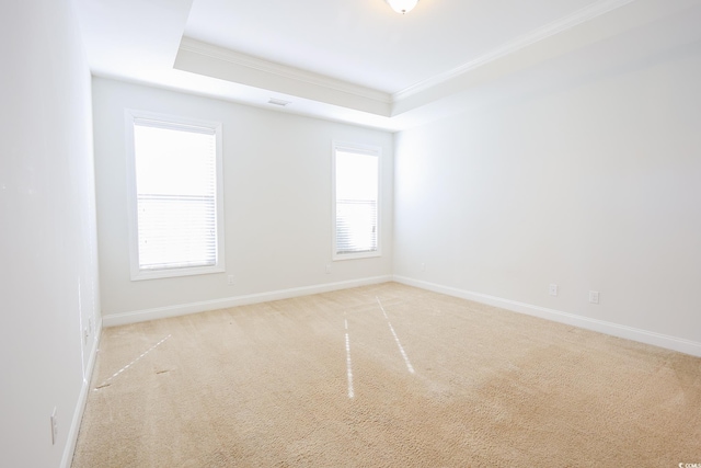 spare room with crown molding, light colored carpet, and a raised ceiling