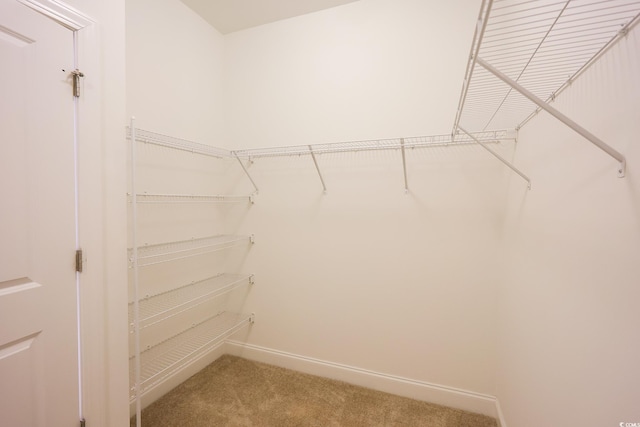 spacious closet with carpet floors