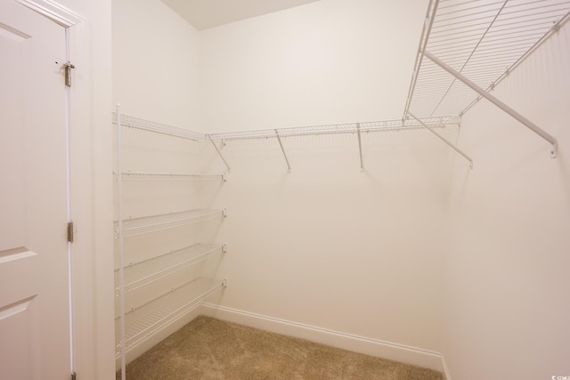 2117 Mirabel Ct, North Myrtle Beach, SC 29582 - photo 17