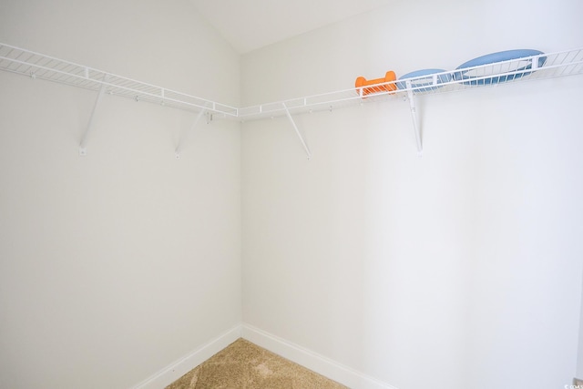 spacious closet with carpet floors