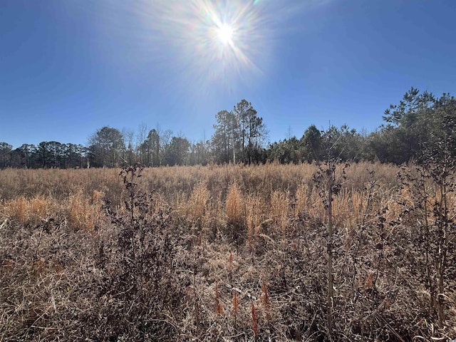 TBD Chair Rd, Hemingway SC, 29554 land for sale