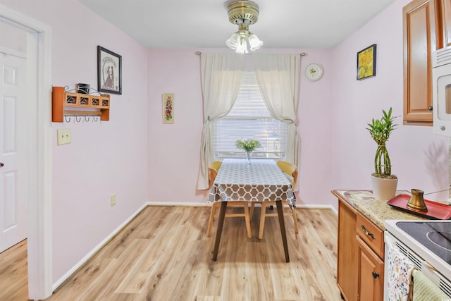 dining space with light hardwood / wood-style flooring