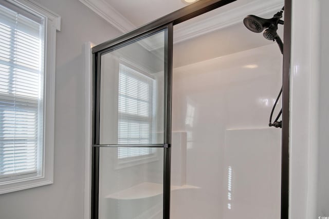 bathroom featuring a wealth of natural light, a shower with door, and ornamental molding