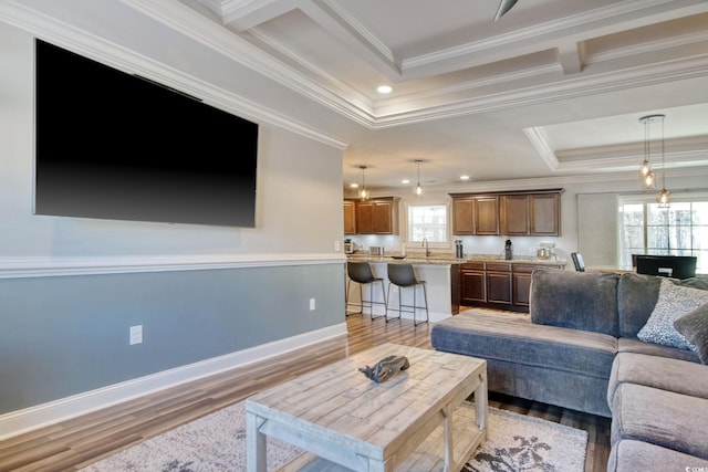 living room with crown molding, light hardwood / wood-style floors, and a wealth of natural light