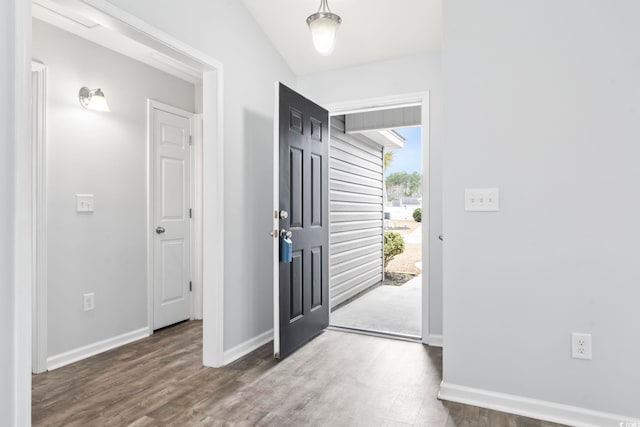 entryway featuring dark wood-type flooring