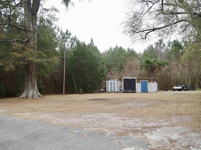 view of yard with a storage unit