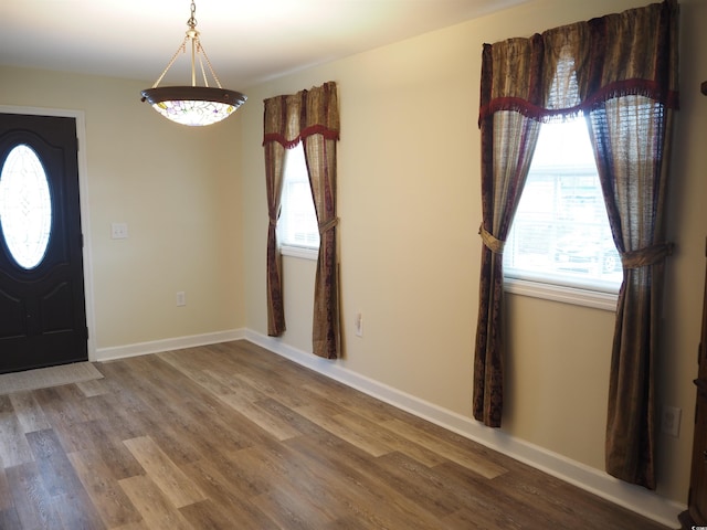 foyer entrance with wood-type flooring