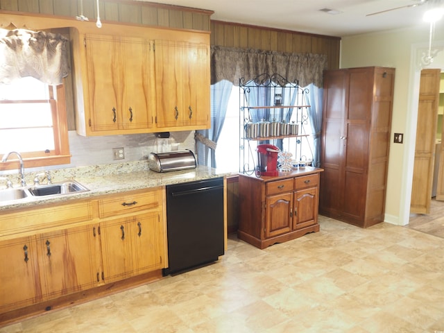 kitchen with sink, dishwasher, and ceiling fan