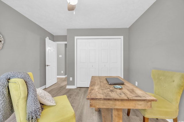 office featuring light hardwood / wood-style floors and ceiling fan