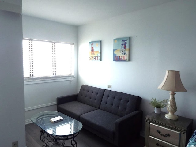 1605 S Ocean Blvd Unit 1602, Myrtle Beach, SC 29577 - view of living room