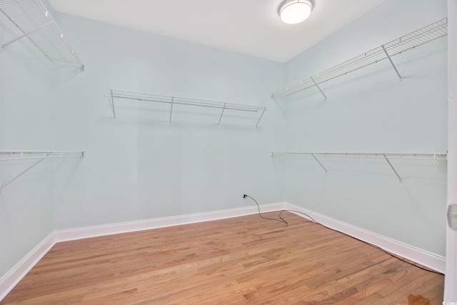 walk in closet featuring hardwood / wood-style floors