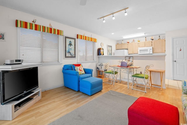 living room featuring light hardwood / wood-style flooring