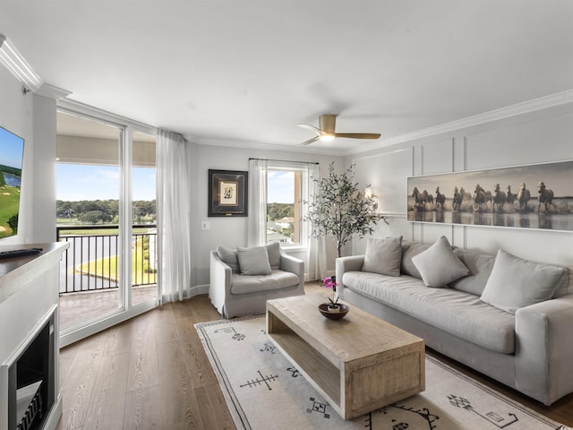 living area featuring ceiling fan, wood finished floors, and ornamental molding