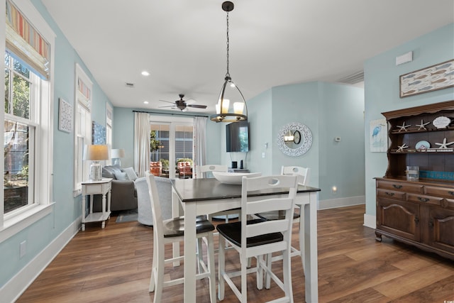 dining space featuring dark wood-type flooring