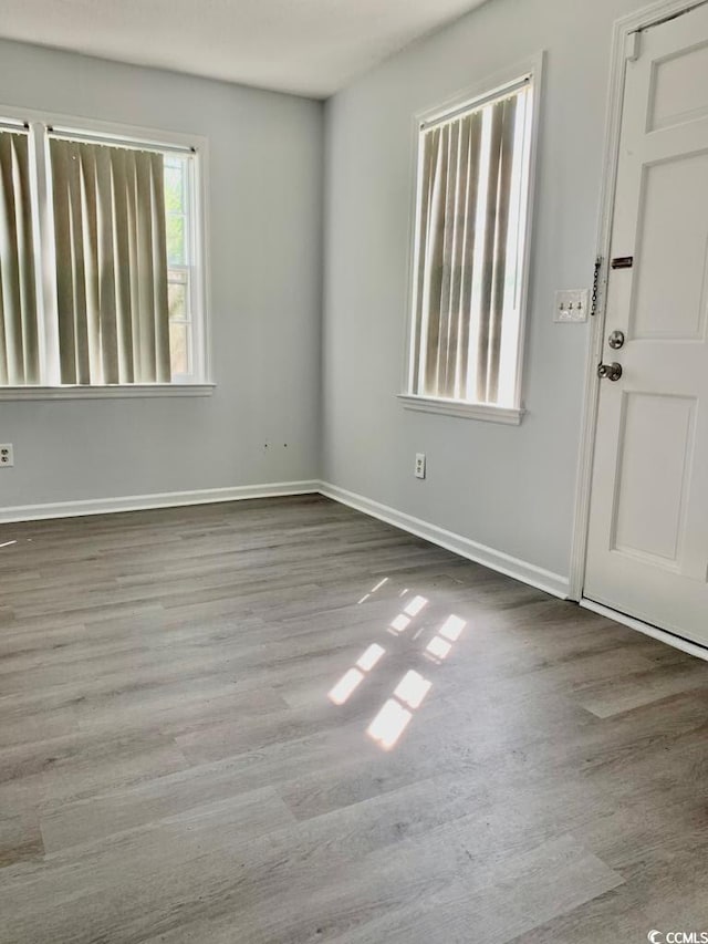 entrance foyer featuring wood-type flooring