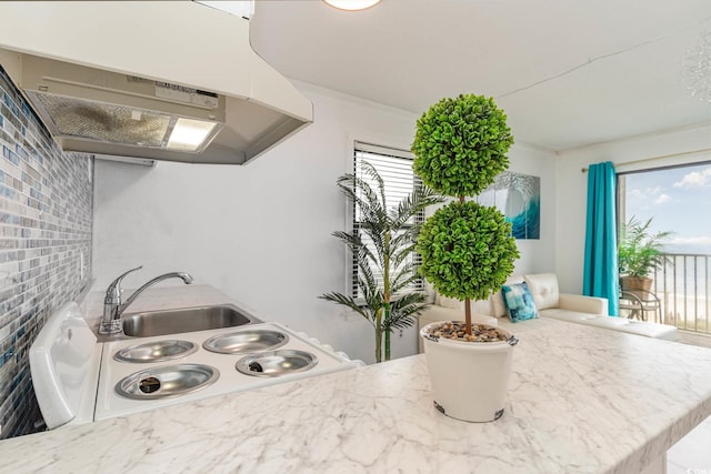 kitchen with ventilation hood and sink