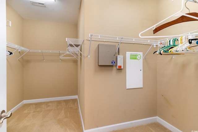 spacious closet featuring carpet floors