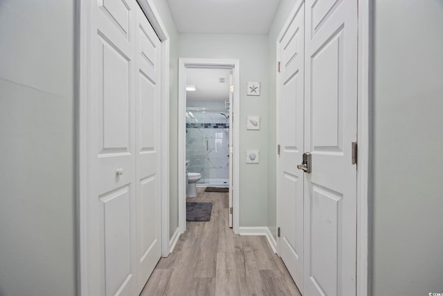 hall featuring light hardwood / wood-style floors