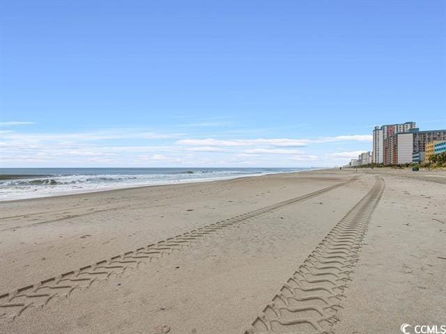 water view featuring a beach view