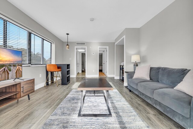 living room with wood-type flooring