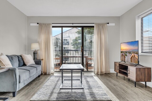 living room featuring hardwood / wood-style floors