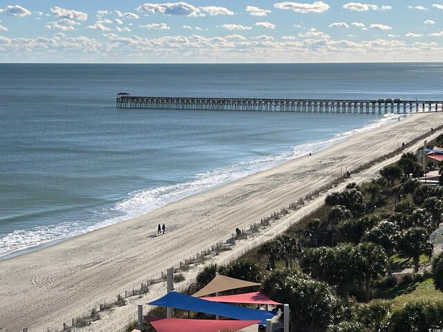 aerial view with a water view and a beach view