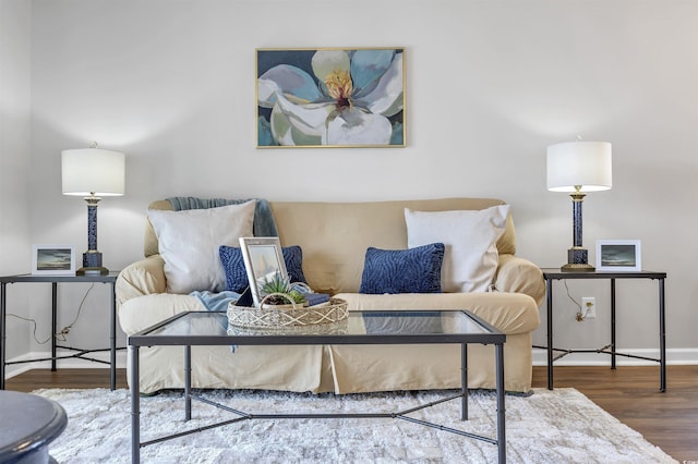 living room with hardwood / wood-style flooring