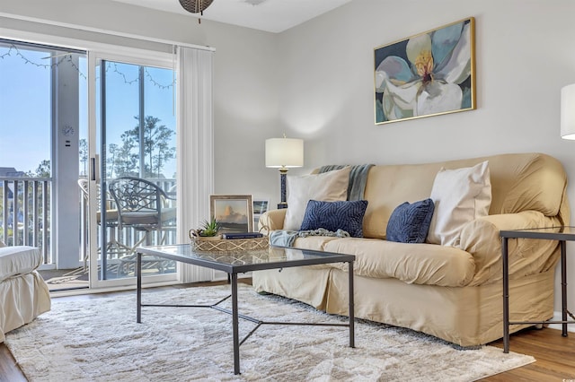 living room with hardwood / wood-style floors