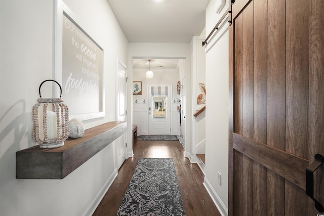 entryway featuring dark hardwood / wood-style floors and a barn door