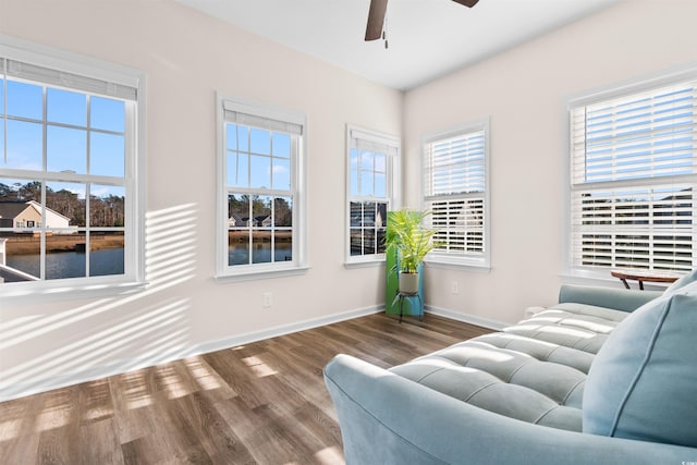 living room featuring hardwood / wood-style flooring and ceiling fan