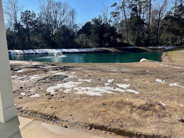 view of water feature