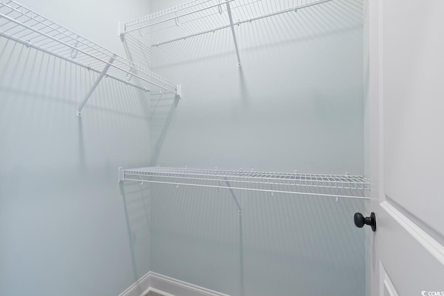 view of walk in closet