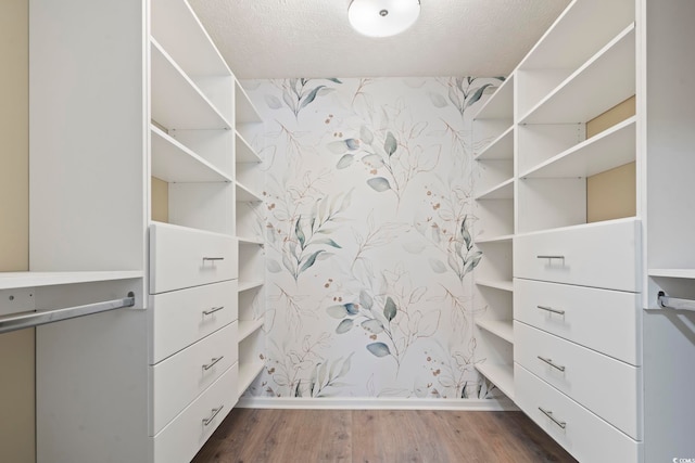 spacious closet with dark hardwood / wood-style floors