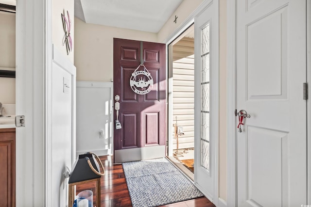 entrance foyer featuring wood-type flooring