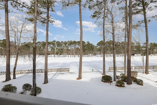 view of snowy yard