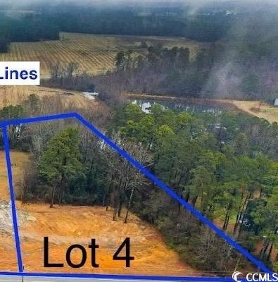 TBD Highway 45, Loris SC, 29569 land for sale