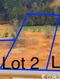 tbd Highway 45, Loris SC, 29569 land for sale