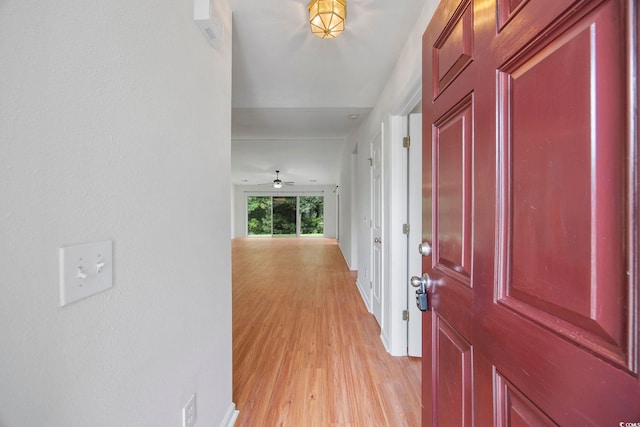 hall featuring light hardwood / wood-style floors