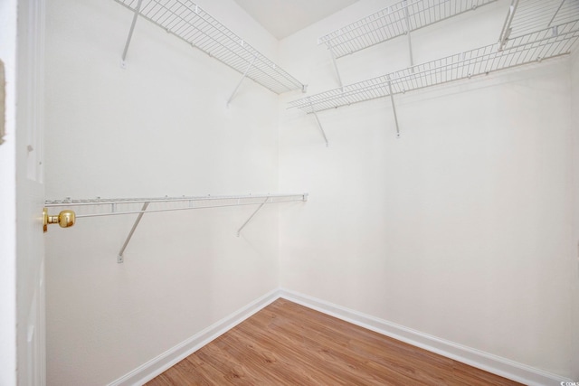 walk in closet with hardwood / wood-style flooring