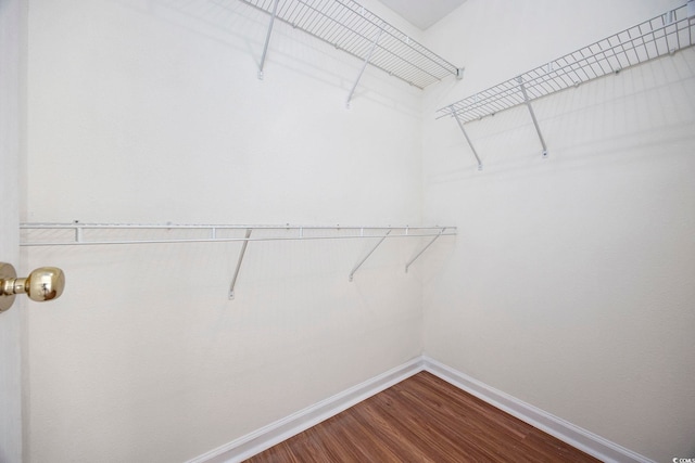 walk in closet featuring hardwood / wood-style flooring