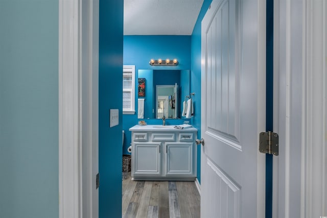 bathroom with hardwood / wood-style flooring and vanity